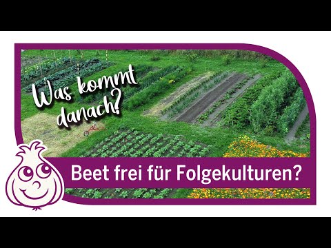 Crop rotation in our vegetable garden | Garden tour