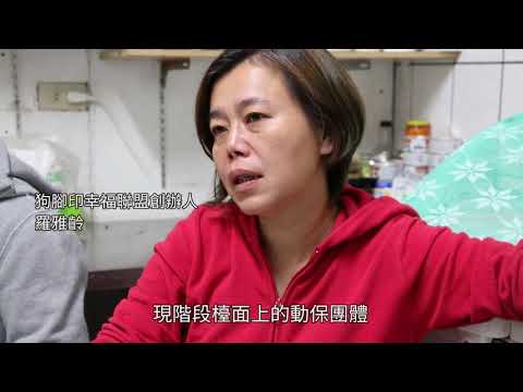 救援不盲目 狗腳印走出幸福家園