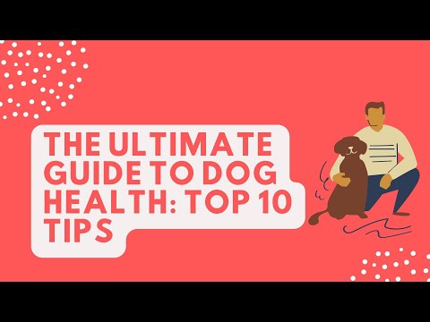 The Ultimate Guide to #Dog #Health - Top 10 Tips