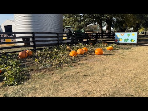 Minooka Patch