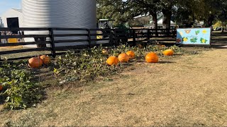 Dolingers Pumpkin 🎃 Patch 4k walkthrough Minooka, IL