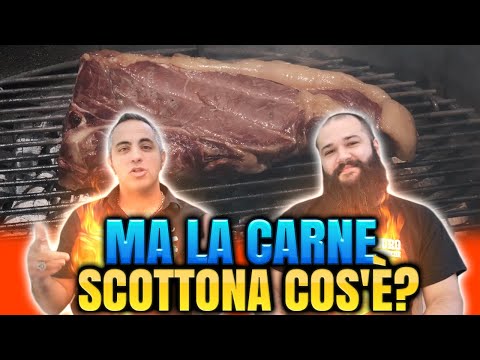 Ma la carne Scottona cos'è? Se pensi sia un taglio o una razza hai capito male! | Grigliare Duro
