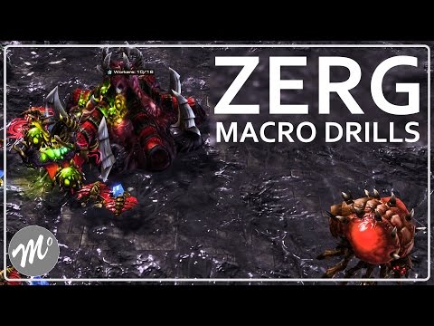How to Train Zerg Macro: Macro Drills - A Portal to StarCraft (Episode 7 Part 2)
