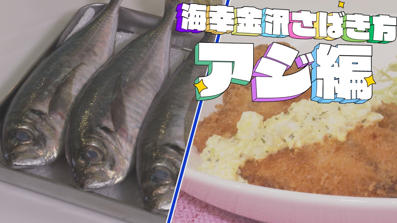 海幸金沢さばき方動画～アジ編～