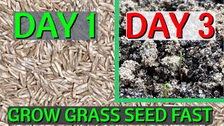 How to GROW grass seed FAST // CHEAT Nature and grow grass in 2 days