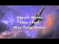 Vibrant Waves-How I Feel-Wax Tailor Remix 