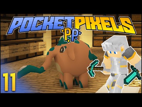 New Pixelmon Update! | Minecraft Pixelmon - Ep. 11 (Sponsored by PocketPixels)