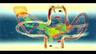 Music video thumbnail preview for CAMOUFLAGE - Motif Sky [Official Video] HQ by Camouflage