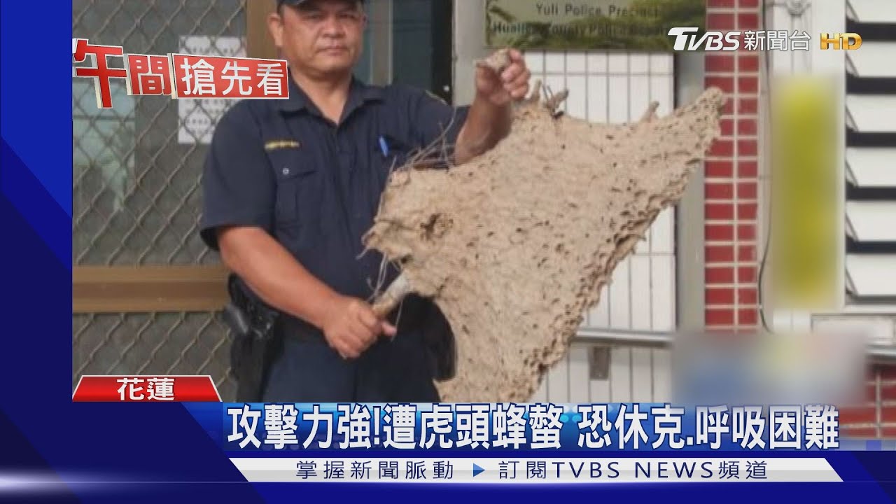 好痛!奪命虎頭蜂出沒 婦人採竹筍遭螫