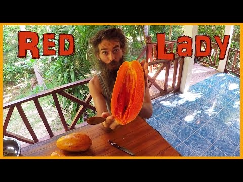 The Best Papaya Variety in the World