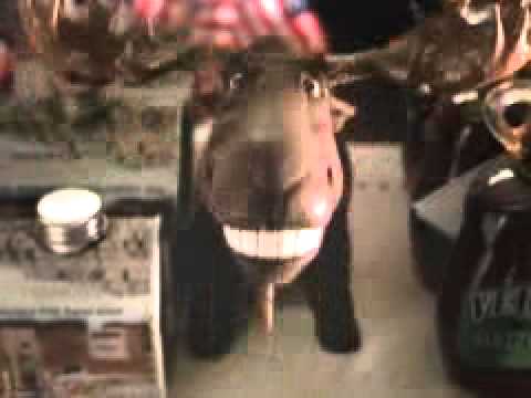 Molson Canadian - Velvet Moose