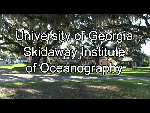 Spotlight on Skidaway - UGA Research News