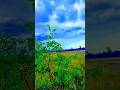 Ye Aaine Jo Tumhe Kam Pasand Karte Hai Nature Trending Viral
