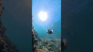 Exploring the tropical waters of Costa Rica in 360