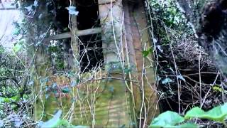 Whats He Building by Tom Waits album: Mule Variations