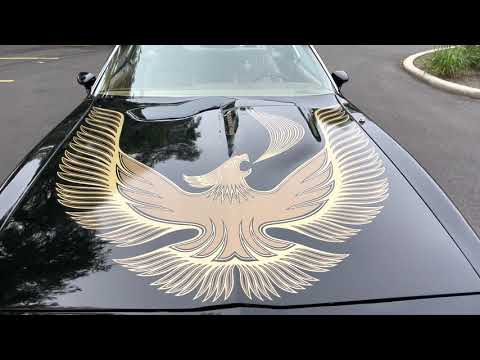 1981 Pontiac Firebird (CC-1507598) for sale in Addison, Illinois