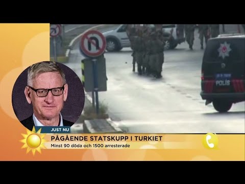 Carl Bildt: "Erdogan framstår nu som en segrare" - Nyhetsmorgon (TV4)