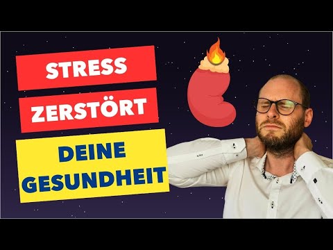Chronischer Stress? - So verhinderst du das Ausbrennen deiner Nebennieren