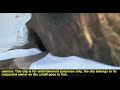 Ice Age Dawn Of The Dinosaurs Tar Pit Bubble Trouble
