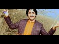 Download Pashto Song Ghazal Tiktok Kala Cha Da Kara Razam Singer Nigar Malang Mp3 Song