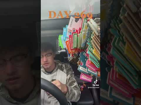 Hanging Little Trees On My Mirror Till It Falls Off Day 269!!!!