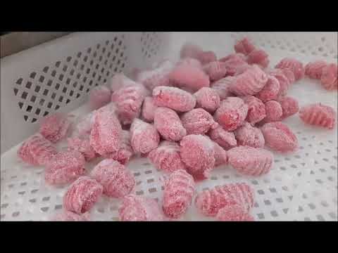 Vidéo L'Artisan des Pâtes