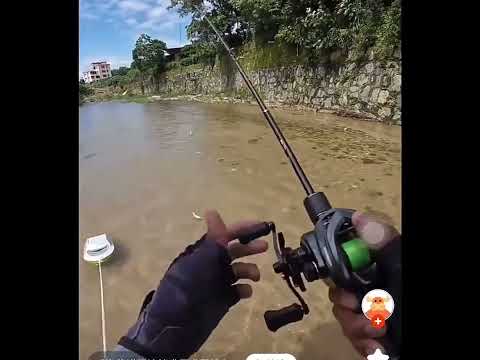 ~子甄彣璟~會飛的魚餌 翅膀晃動 浮水仿生蒼蠅 飛蠅 昆蟲 路亞餌 海釣餌 仿生餌 釣魚 假餌 軟餌 蒼蠅
