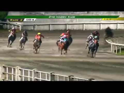 BOY GEORGE - PRCI RACE 2 - November 6, 2019