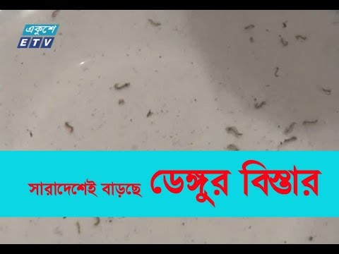 সারাদেশেই বাড়ছে ডেঙ্গুর বিস্তার