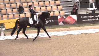 preview picture of video 'Med Nanna til JBK Horse Show 2009 - Del 2'