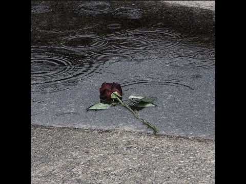 Gihigugma Tika (Official Audio)