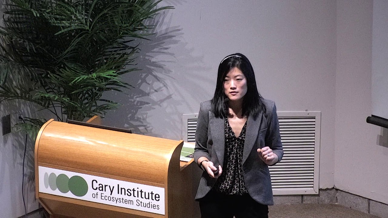 Predicting the Future of Infectious Disease