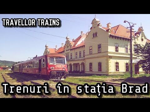 Trenuri în stația Brad (Linia 317: Arad - Ineu - Brad)