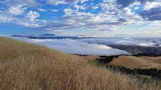 The Dead are Dancing-Tony Childs