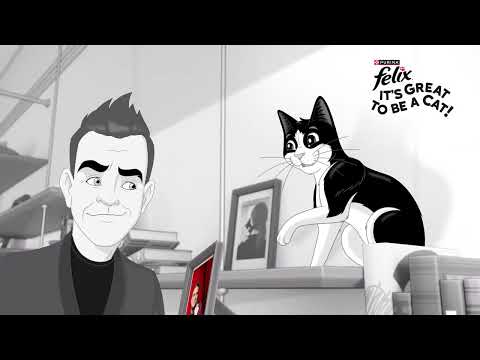 Live Like you are Felix. Its Great to be a Cat!