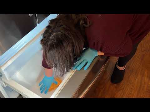 How to Shut Down a Refrigerator