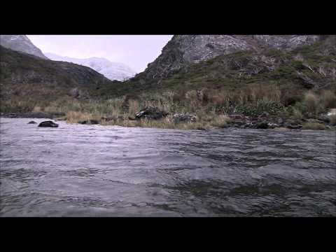 El botón de nácar - Tráiler