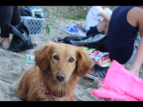 Nullpunkt - Kinder der Küste (offizielles Musikvideo)