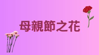 母親節之花