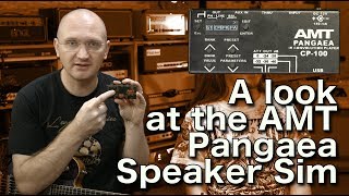 Video thumbnail for A look at the AMT Pangaea CP100 IR Speaker Sim by EytschPi42