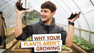 Everything You NEED to KNOW about SOIL | Gardening Basics