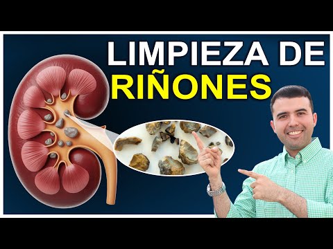 HOW TO CLEANSE THE KIDNEYS - HOW TO DETOX AND REVERSE KIDNEY DAMAGE