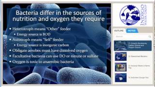 Activated Sludge Basics YouTube
