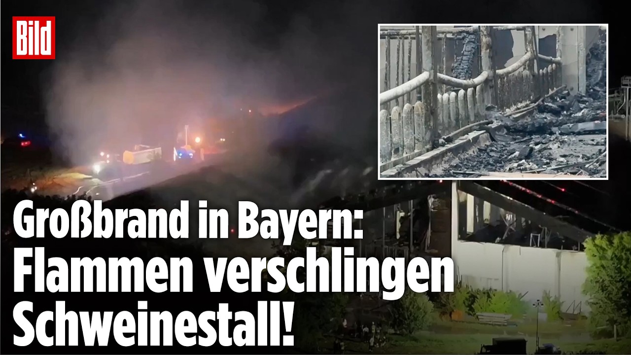 Tier-Tragödie: Feuer-Hölle in Bayern tötet über 1000 Schweine!