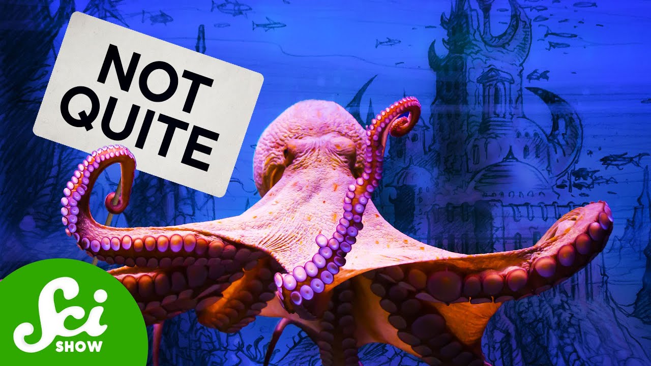 What The Media Got Wrong About Octopus Cities