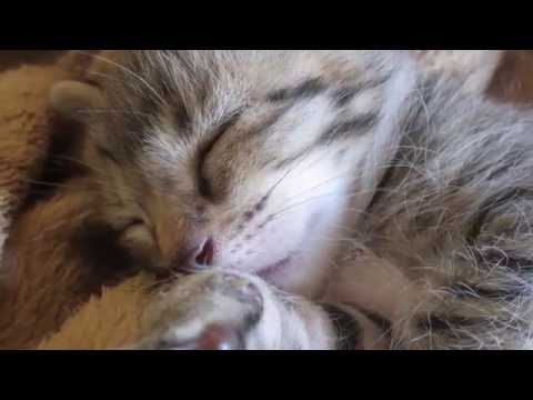 2016年 4月20日　They are seven brothers born on April 20!