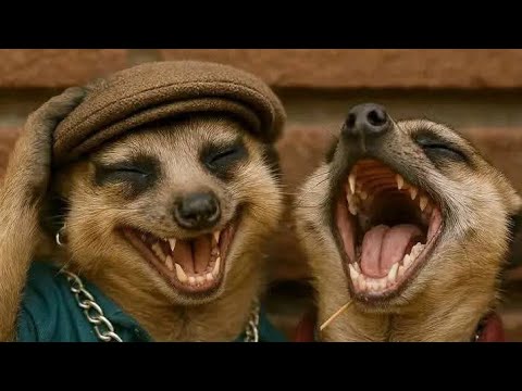 Mizimu ya mababu - OTTU #Jazz Band