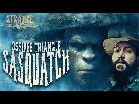 Ossipee Triangle Sasquatch | Strange Places