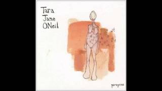 Tara Jane O'Neil - A City In the North