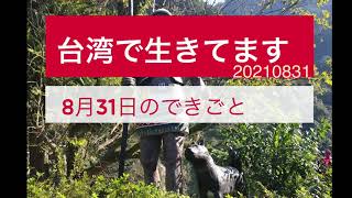 台湾からPodcast【台湾で生きてます20210831】8月31日のできごと